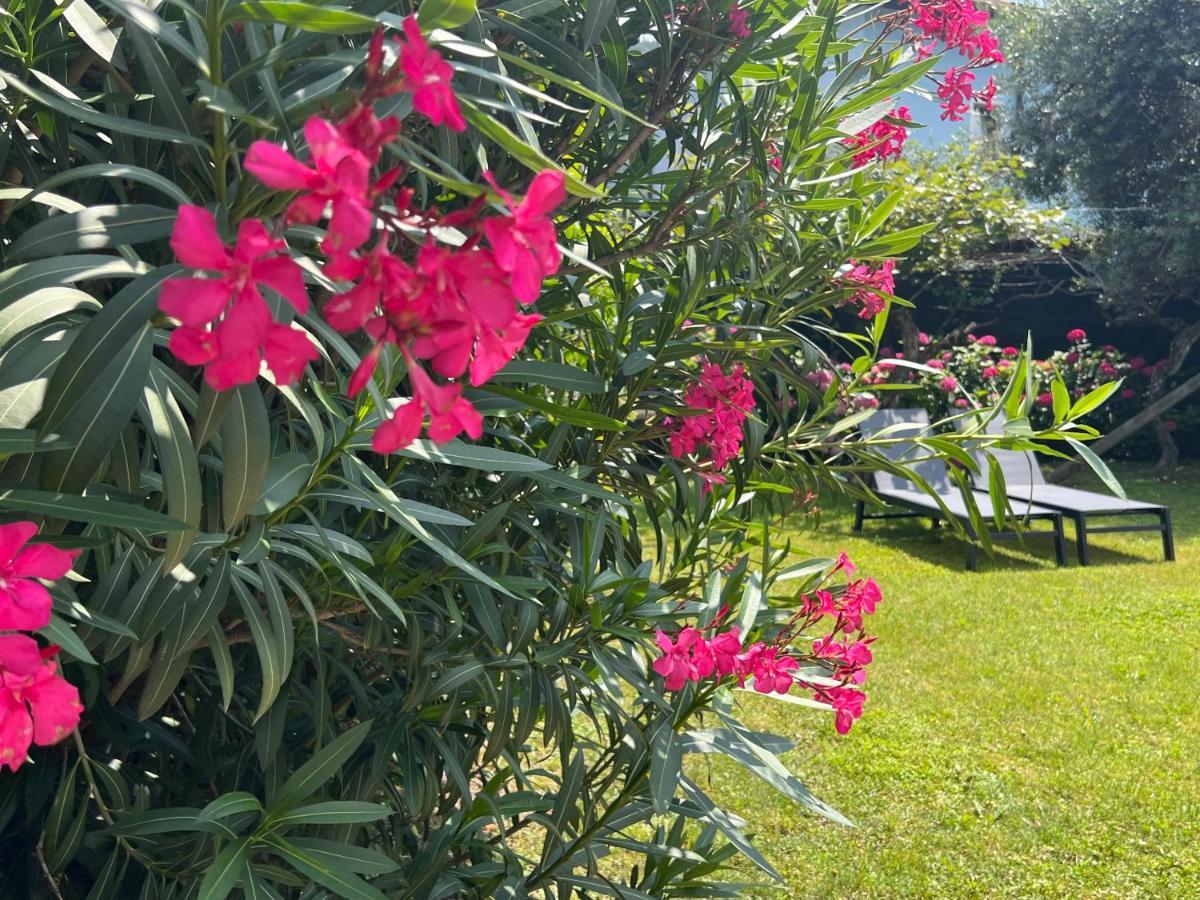 Villa Verde Riva del Garda Dış mekan fotoğraf